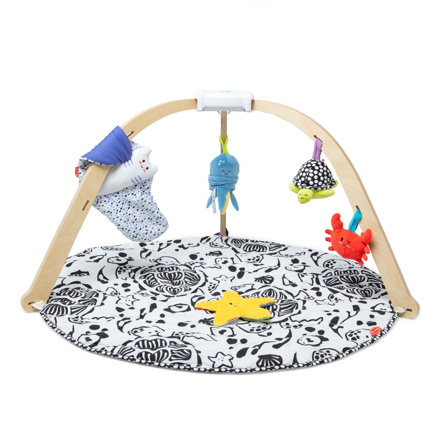 Melissa & Doug Ocean Wooden Baby Play Gym, Easy-Fold Baby Activity Center, 5 Washable Sensory Toys & Reversible Play Mat, Infant Toys, Ages 0–9 Months – FSC Certified